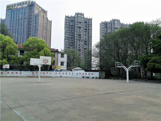 校园环境