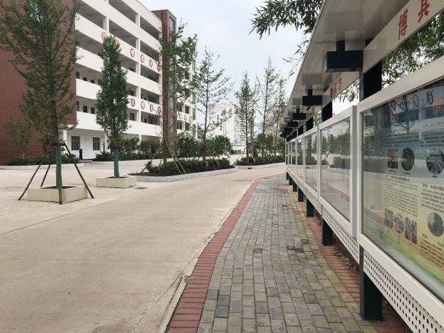 校园环境