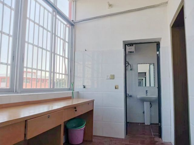 校园风采