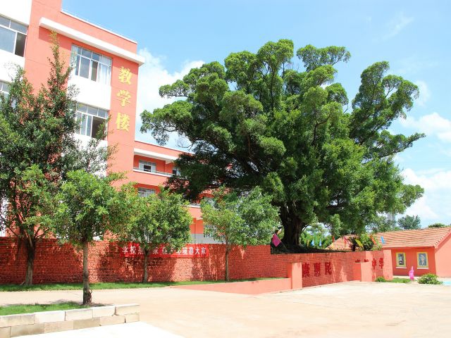 校园风采