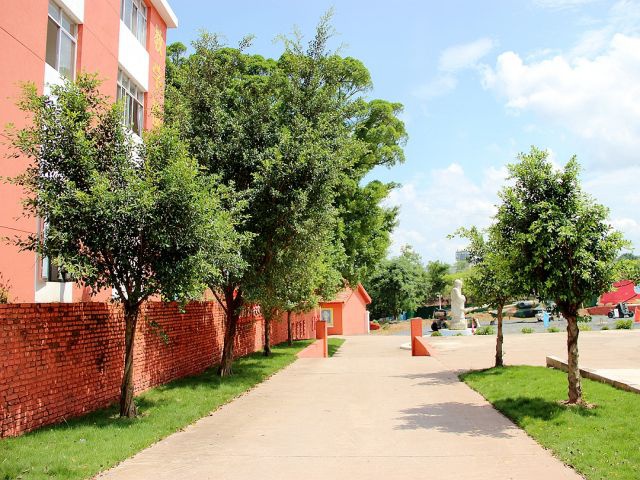 校园风采