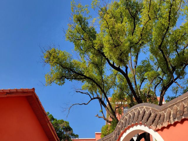 校园风采